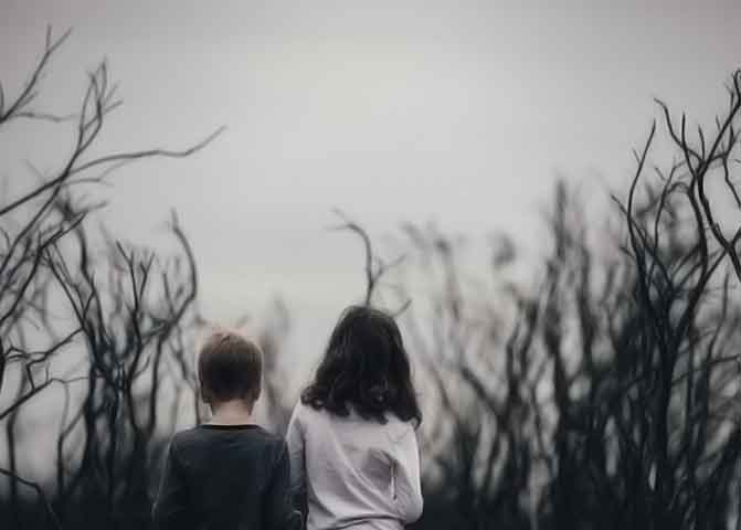 授权码平台正规的器测压文章